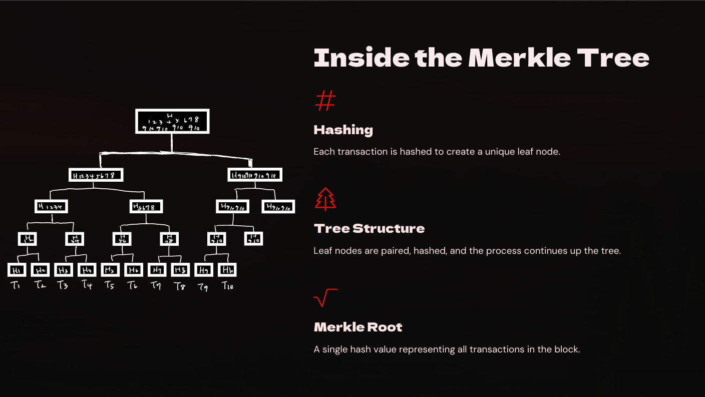 Merkle Tree Structure